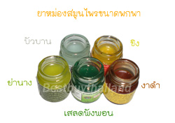 ยาหม่องขิง Ginger Balm,ยาหม่องงาดำ,ยาหม่องเสลดพังพอน,ยาหม่องย่านาง, ยาหม่องโอสถทิพย์ขาว-เขียว-เหลือง, Black Sesame Balm,ฺBamboo Grass Balm,Thai Herbal Balm, White Balm, Green Balm, Yellow Balm