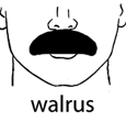 การไว้หนวดแบบ Walrus